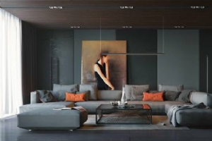 �����ƺ��������� ����һ������